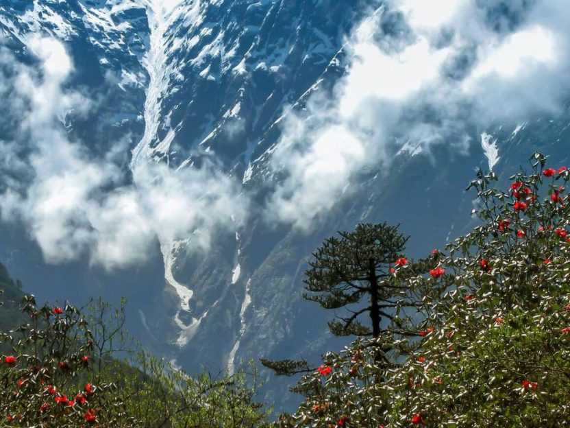 best time to visit sikkim,seasonal guide for your trip