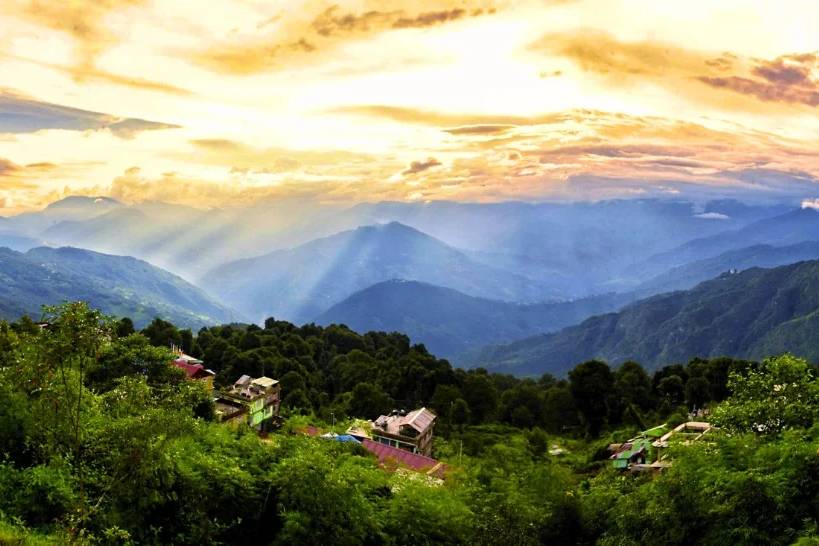 View all