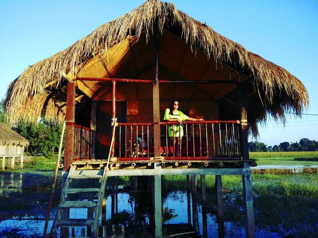 Mishing stilt houses made of bamboo beside green fields on Majuli island