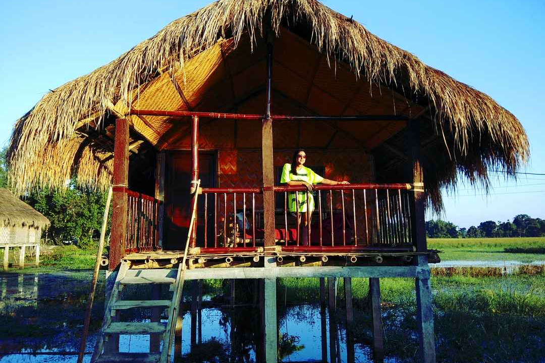 Mishing stilt houses made of bamboo beside green fields on Majuli island