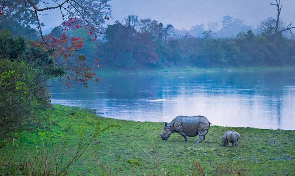8 Best Places to Visit in Kaziranga National Park in 2026