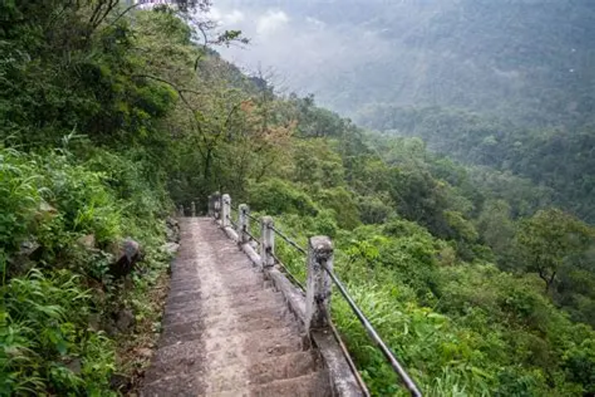 A perspective shot of the steep stone steps disappearing into the Nongriat jungle