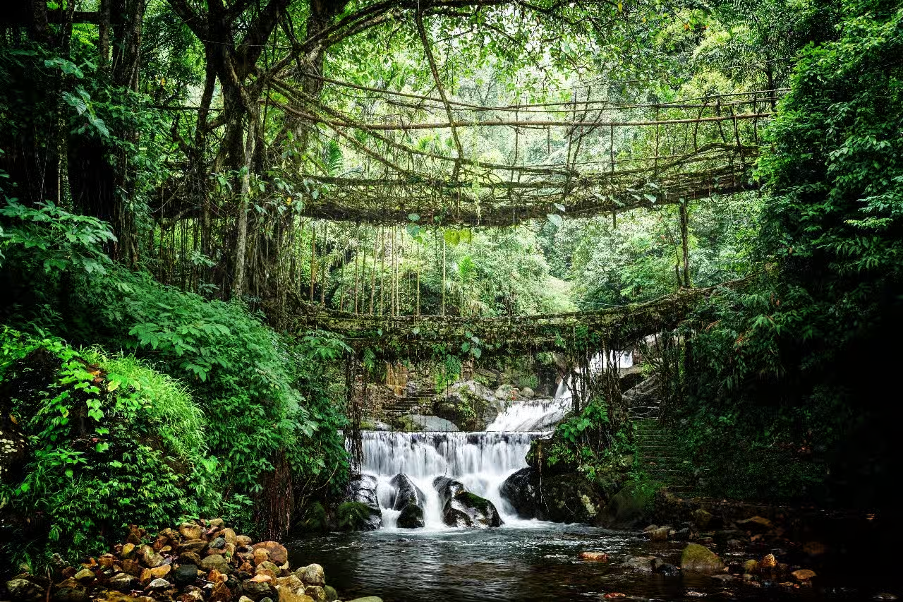 Double Decker Living Root Bridge Nongriat trekking in Meghalaya