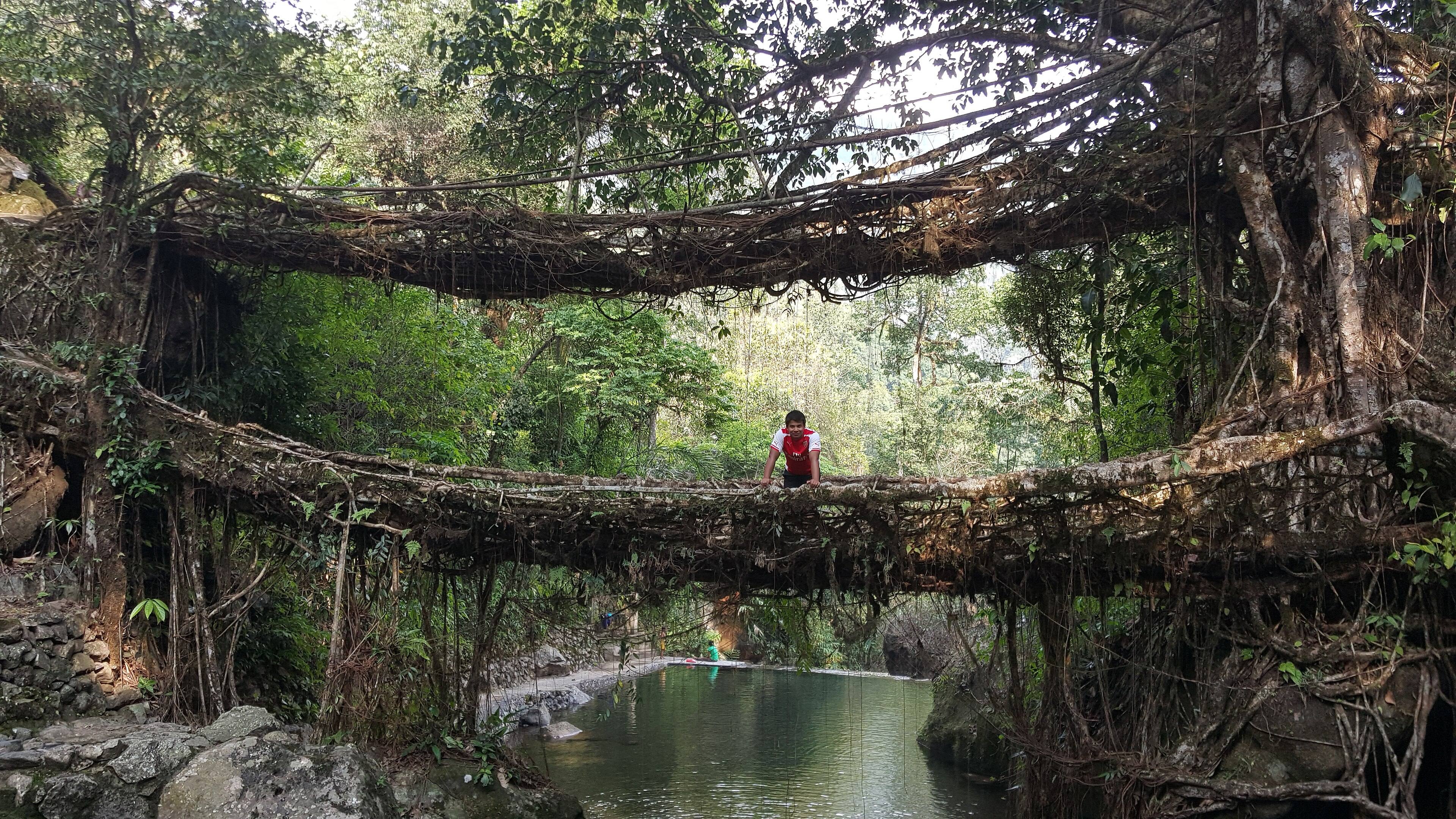 The double-decker living root bridge at Nongriat