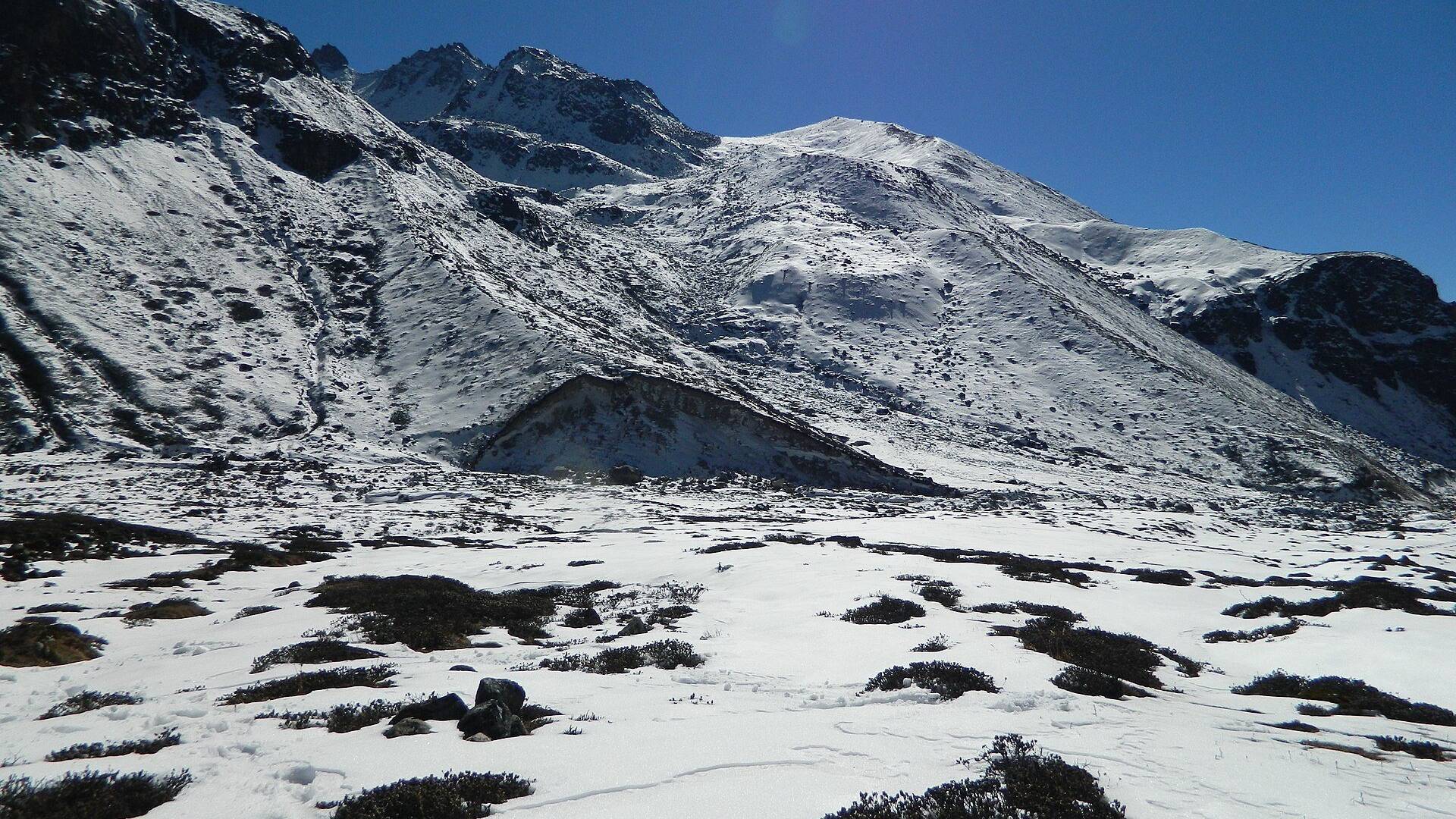 Yumthang Valley in North Sikkim with a river, pine trees and snow-capped mountains