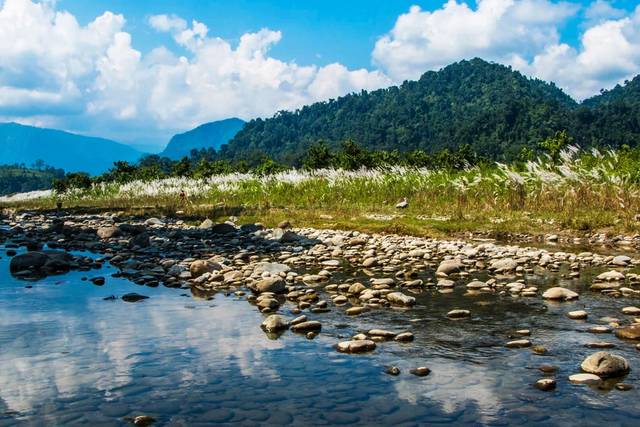 All Images