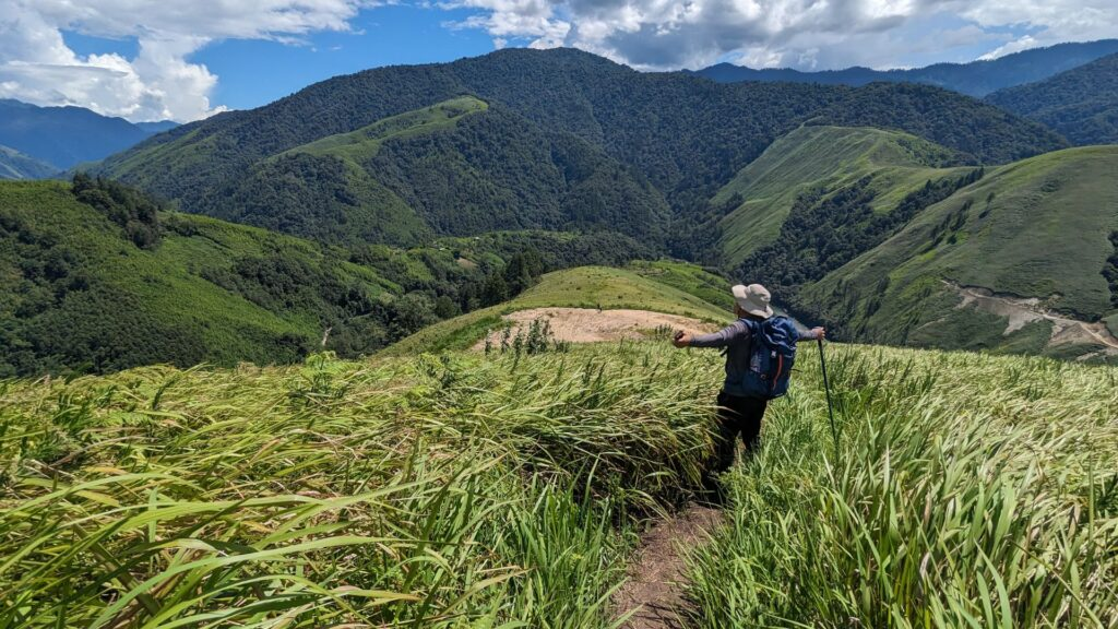 A person hiking through a lush green valley in Arunachal Pradesh under a bright sky.