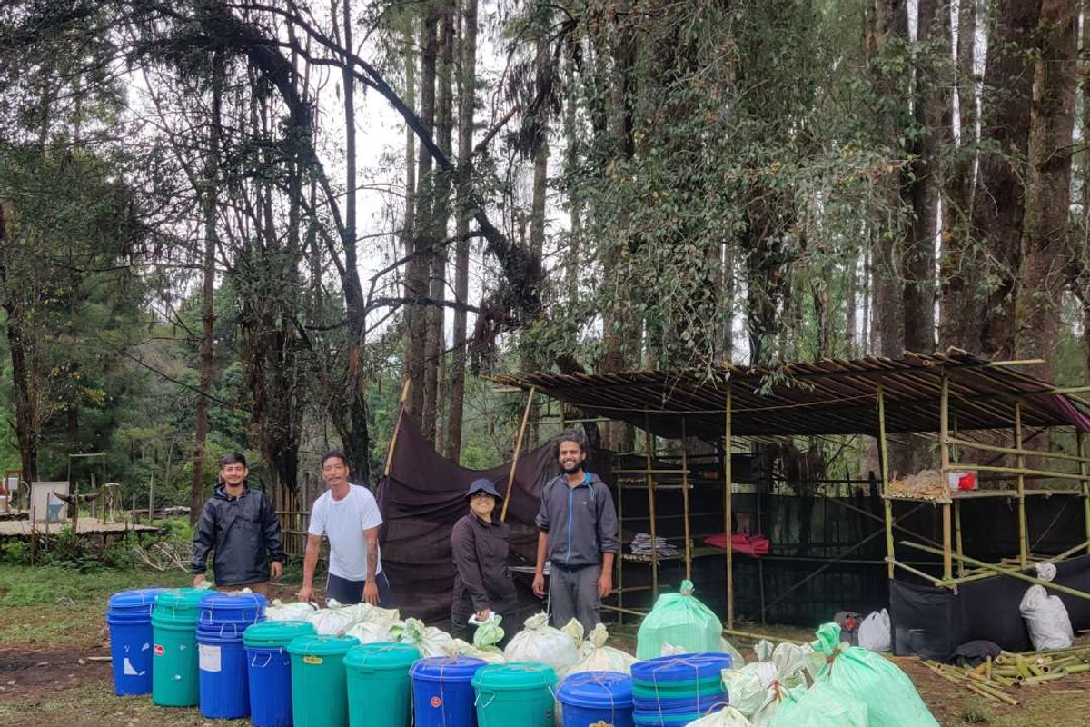 Volunteers in green vests sorting eco-friendly waste during the Ziro Festival of Music.