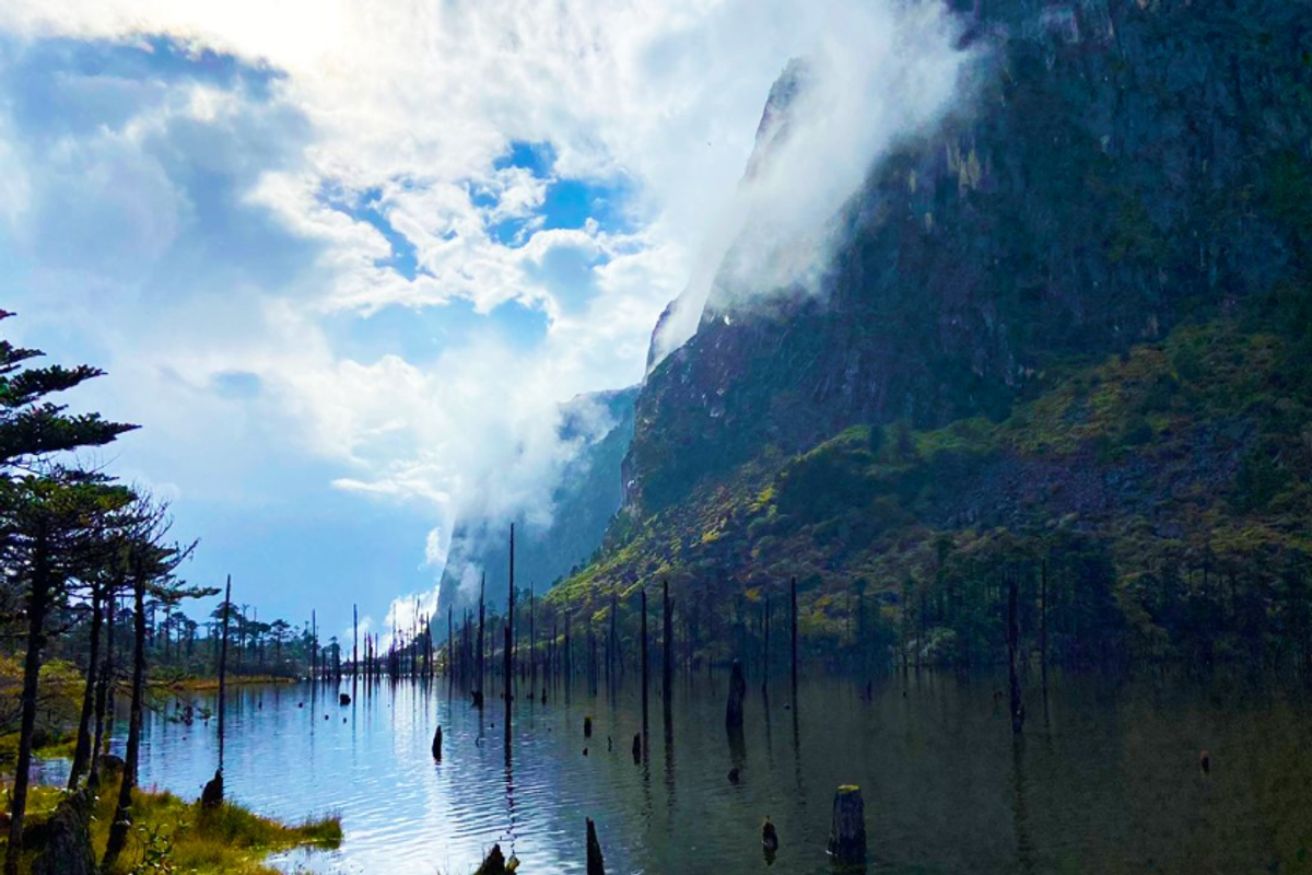 Madhuri Lake Tawang with tree trunks rising from calm water and Himalayan backdrop