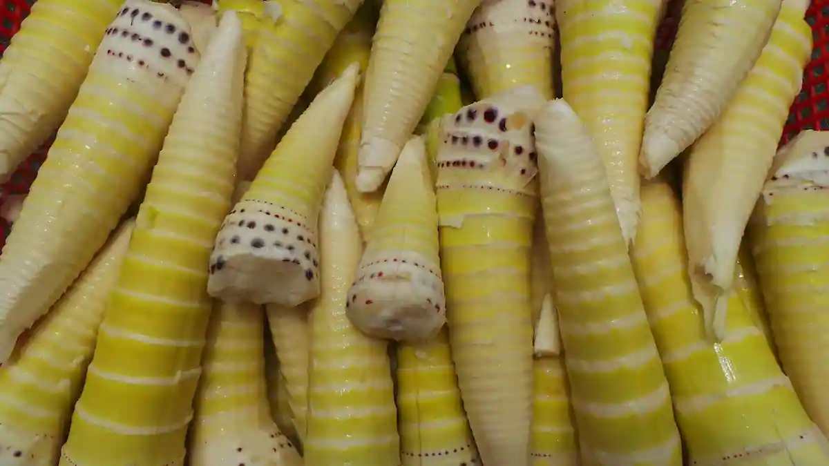 Traditional Apatani food and bamboo shoot pickles served in bamboo containers."