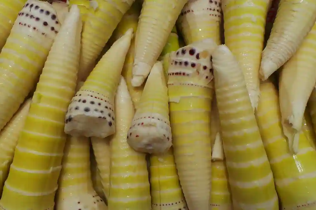 Traditional Apatani food and bamboo shoot pickles served in bamboo containers."