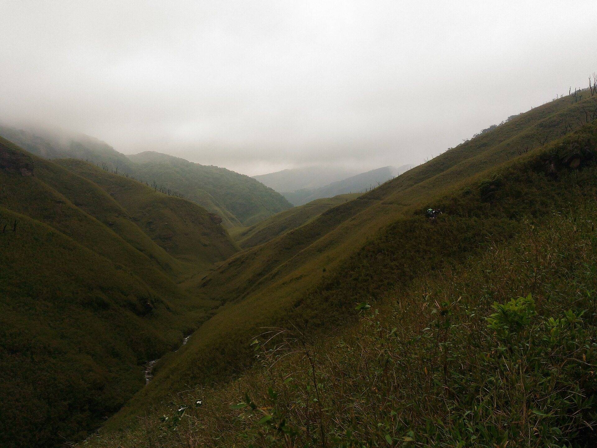 Green hillsides and a valley on the trail to Dzukou with low cloud