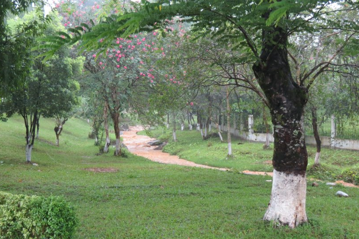 Manicured lawns, colorful flowerbeds, and walking paths at the central Indira Gandhi Park in Itanagar