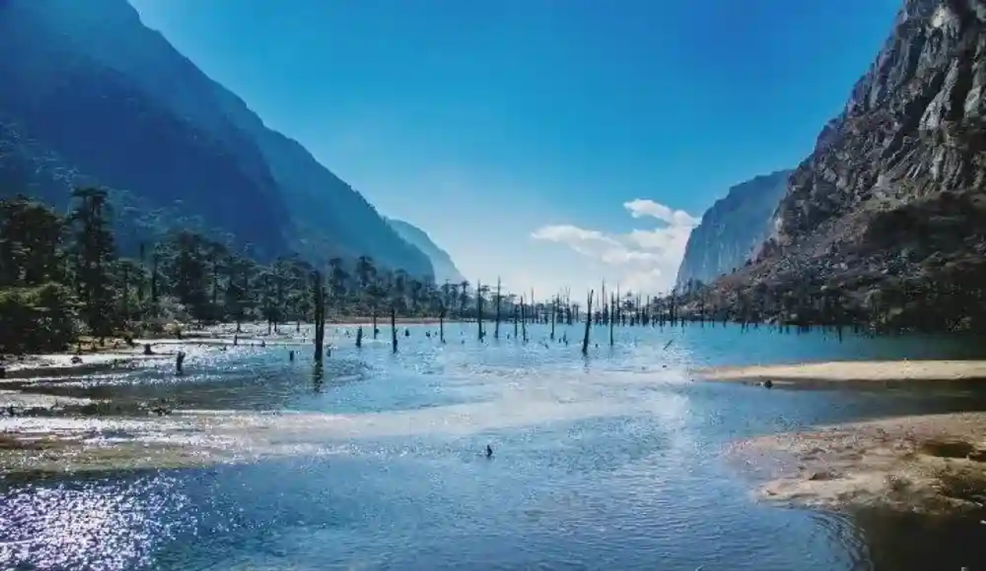 Misty Madhuri Lake with submerged dead tree trunks in Tawang,Arunachal Pradesh.