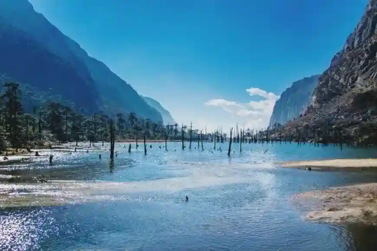 Misty Madhuri Lake with submerged dead tree trunks in Tawang,Arunachal Pradesh.