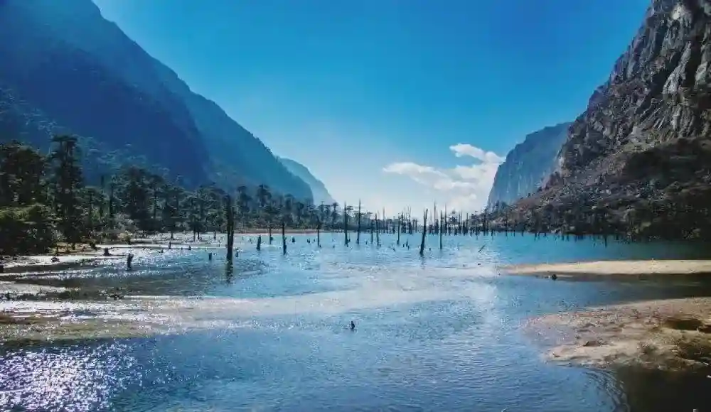 Misty Madhuri Lake with submerged dead tree trunks in Tawang,Arunachal Pradesh.