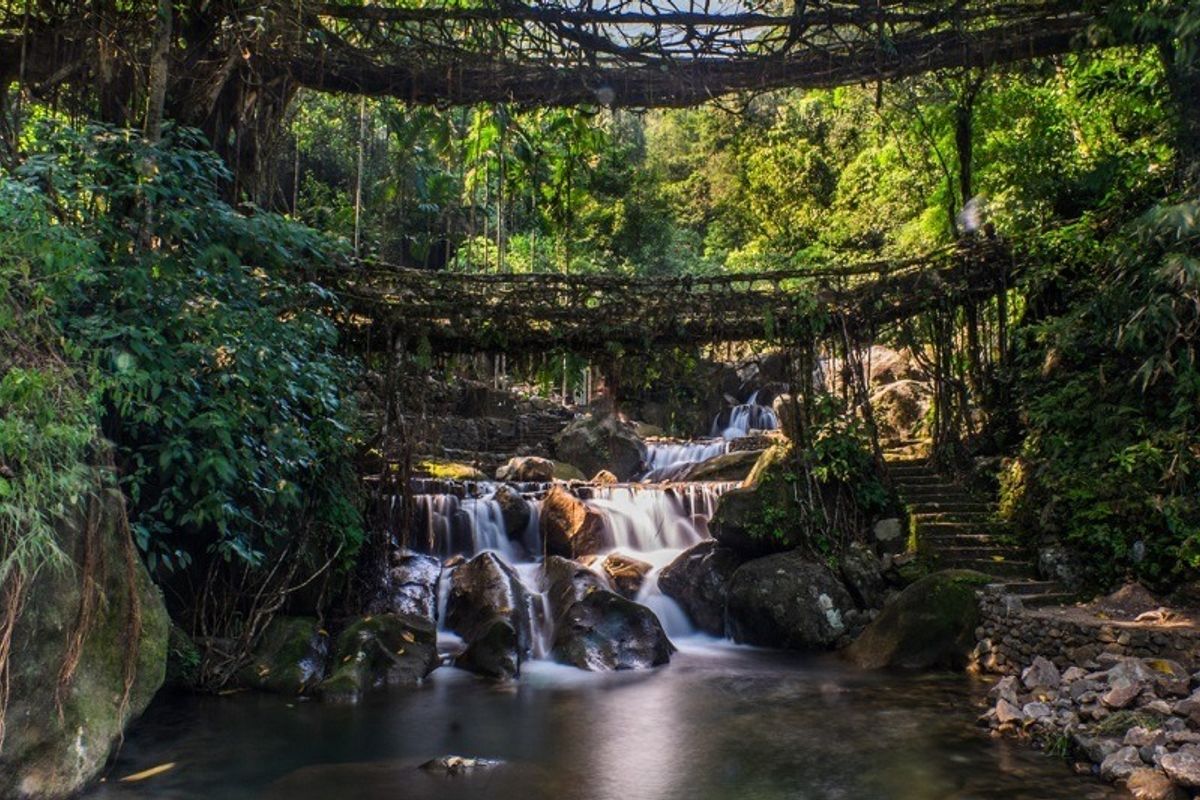  Double Decker Living Root Bridge in Nongriat village near Cherrapunji, Meghalaya