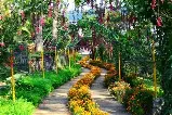 Flower-lined stone path through Mawlynnong village Asia's cleanest village East Khasi Hills Meghalaya 2026