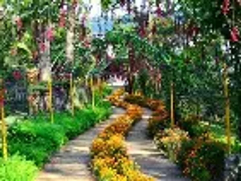 Flower-lined stone path through Mawlynnong village Asia's cleanest village East Khasi Hills Meghalaya 2026