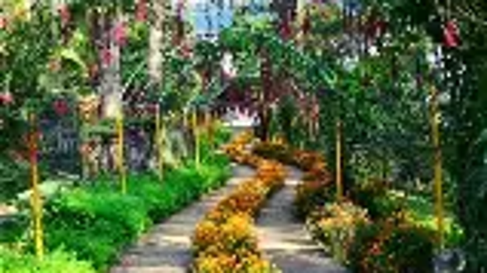 Flower-lined stone path through Mawlynnong village Asia's cleanest village East Khasi Hills Meghalaya 2026