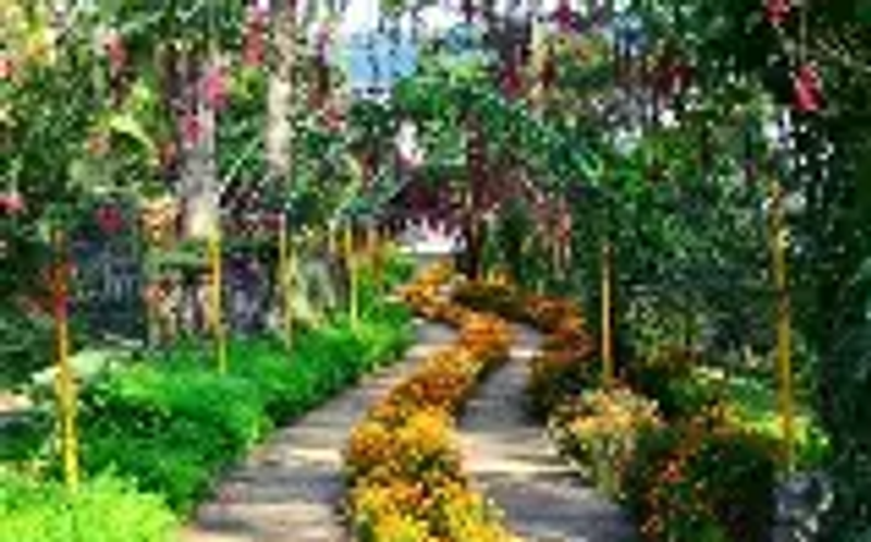 Flower-lined stone path through Mawlynnong village Asia's cleanest village East Khasi Hills Meghalaya 2026