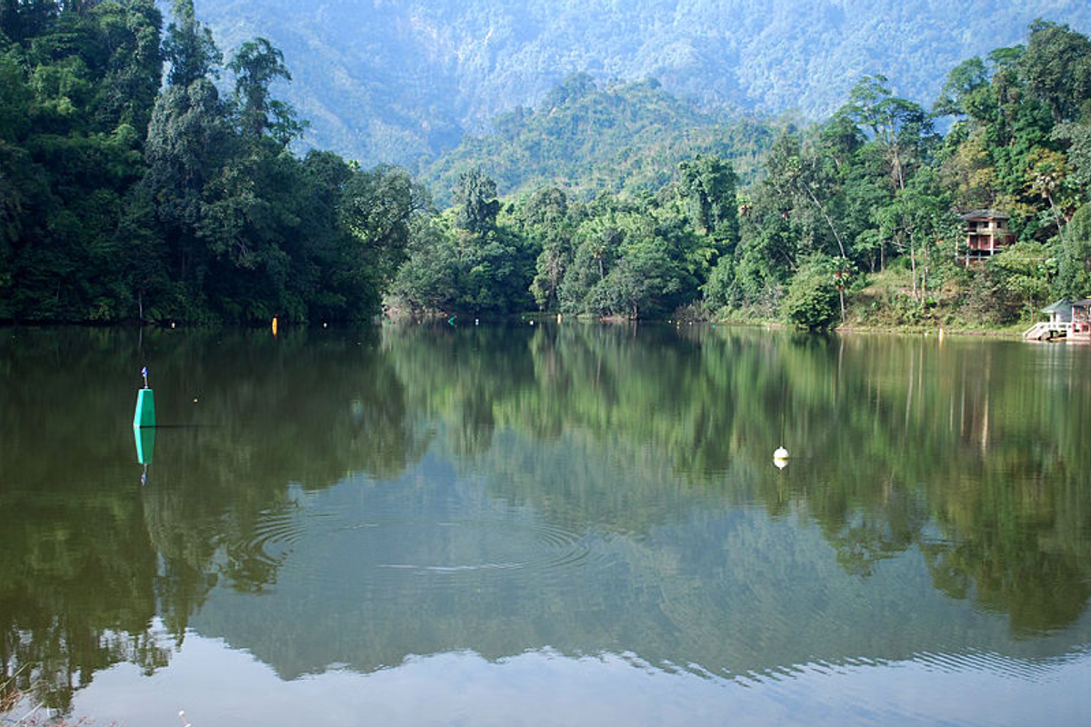 Serene emerald green Ganga Lake (Geker Sinying) in Itanagar surrounded by primeval ferns and bamboo groves.