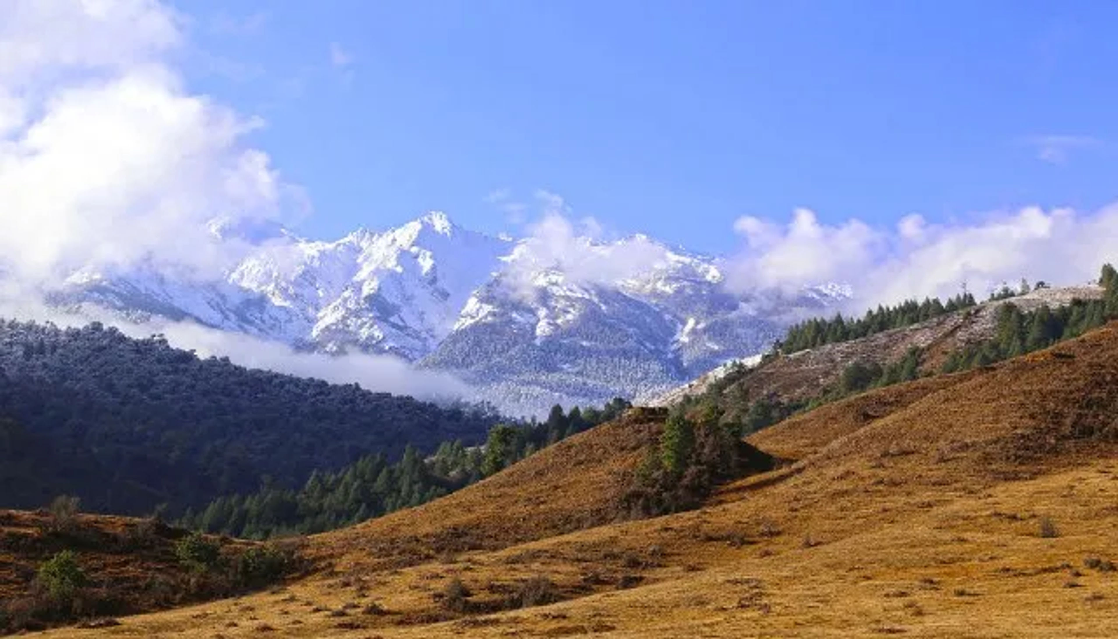 pasighat Weather & Best Time to Visit 
