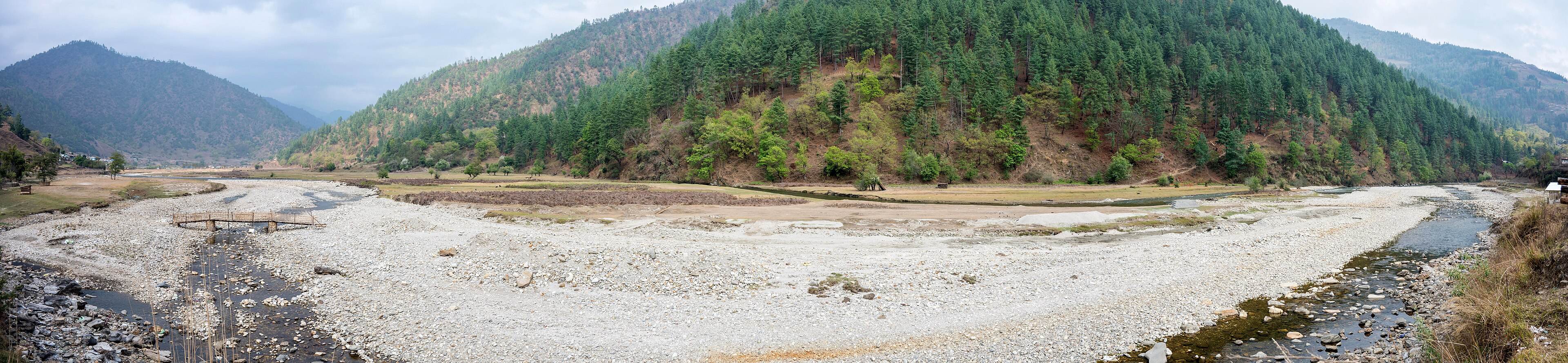 A panorama of Sangti Valley's riverbed and pine hills