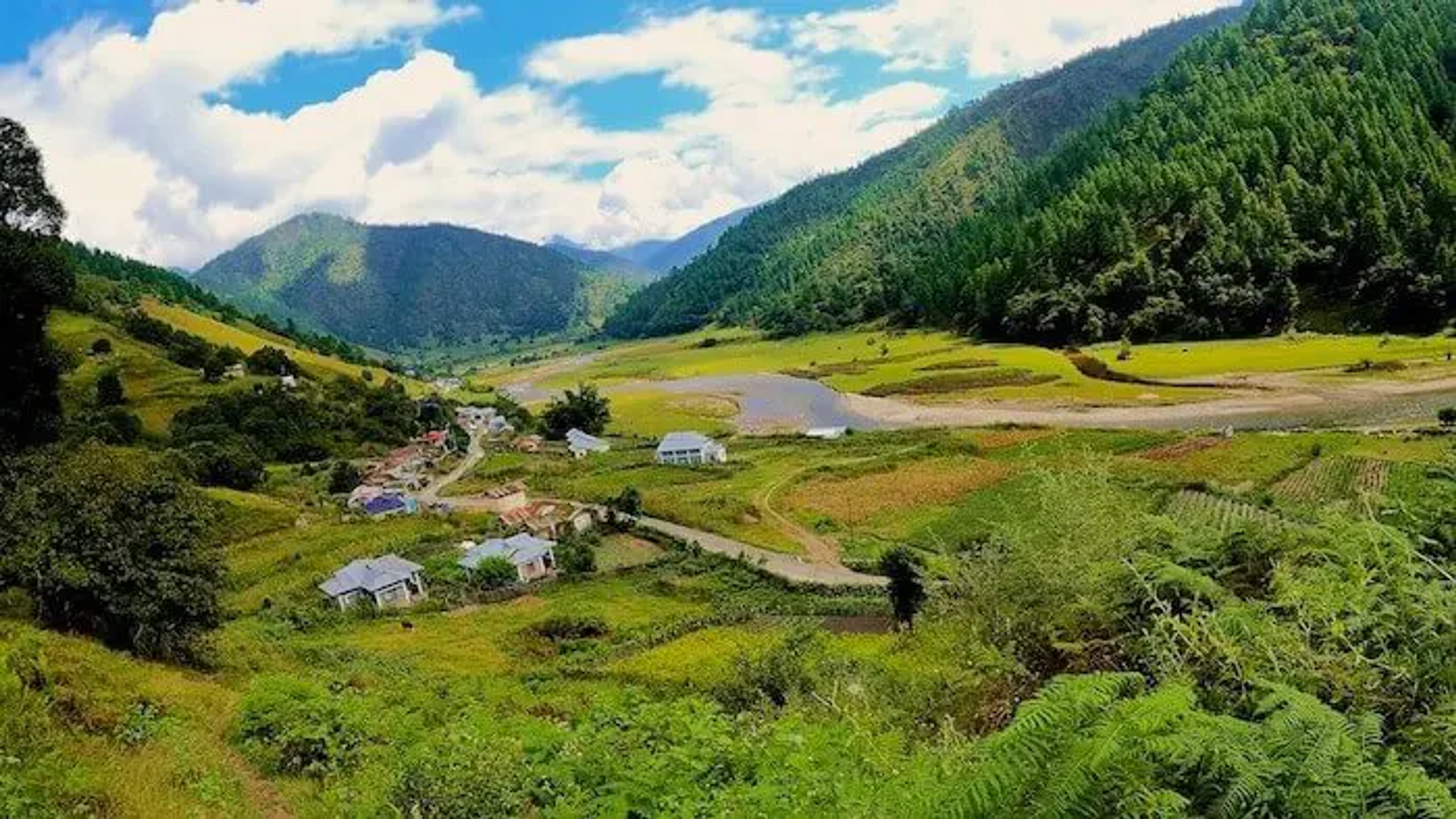 Scenic Sangti Valley landscape featuring the sheep breeding farm near Dirang.