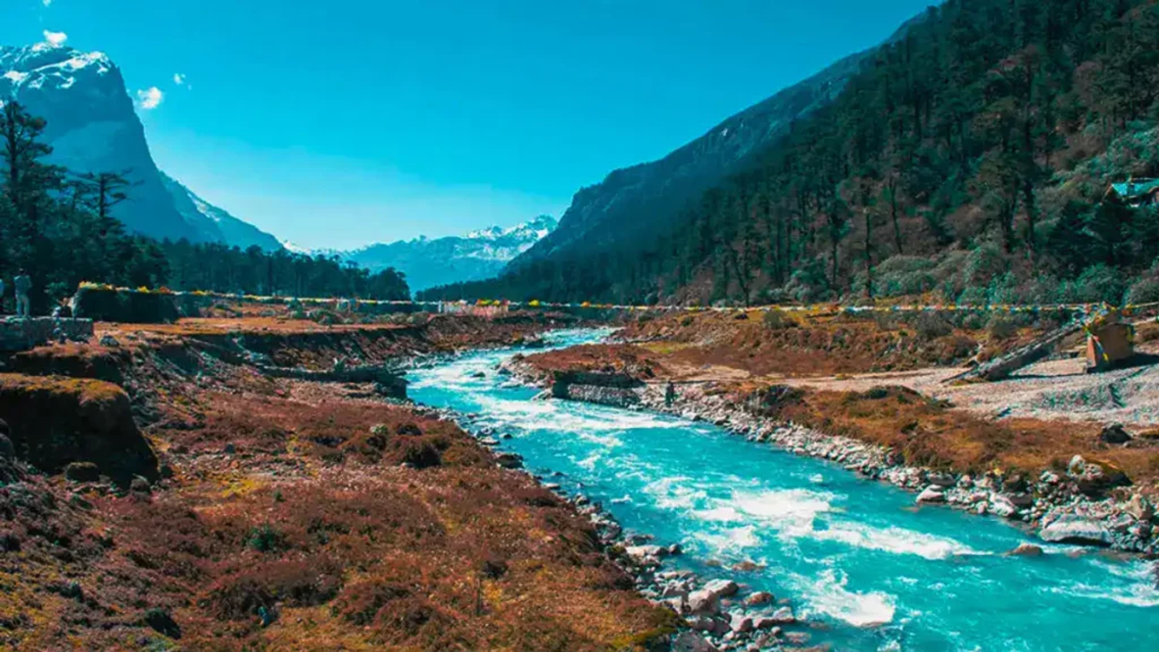 Glacial river Lachung Chu flowing through the scenic Lachung village in North Sikkim.