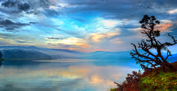 Panoramic view of Umiam Lake in Meghalaya surrounded by thick pine forests.