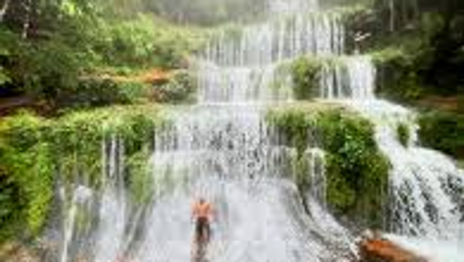 Lush multi-tiered waterfall in a green meghalaya forest.