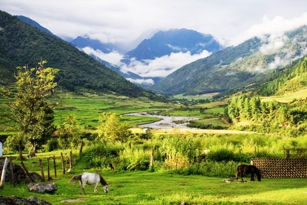 Panoramic view of Mechuka Valley in Arunachal Pradesh with snow-capped mountains, lush green valley, Yargyap Chu river, and traditional tribal houses