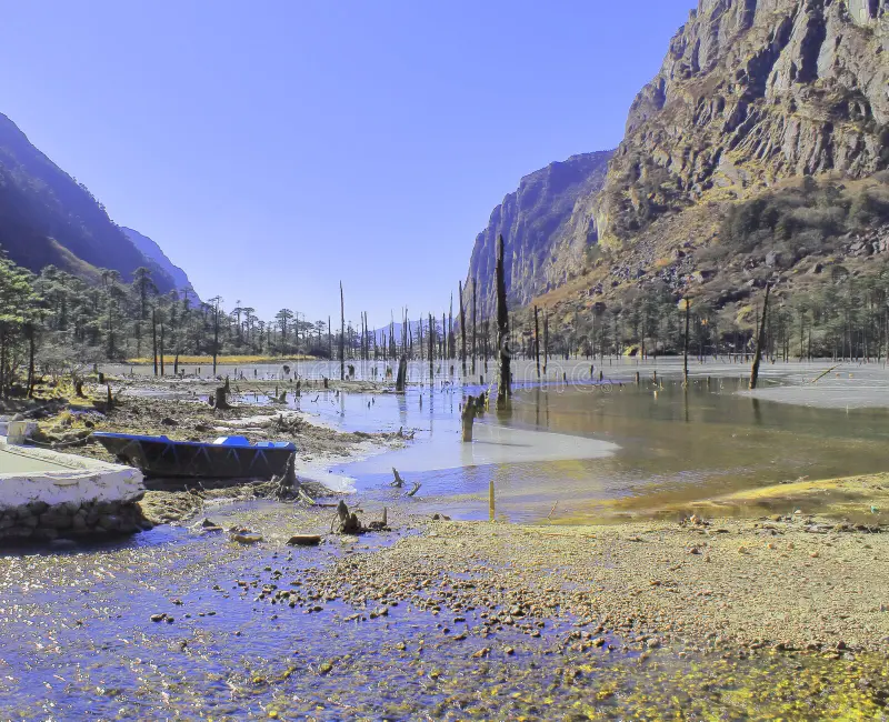 The haunting landscape of Madhuri Lake in Arunachal Pradesh, showing dead pine tree trunks standing inside clear water.