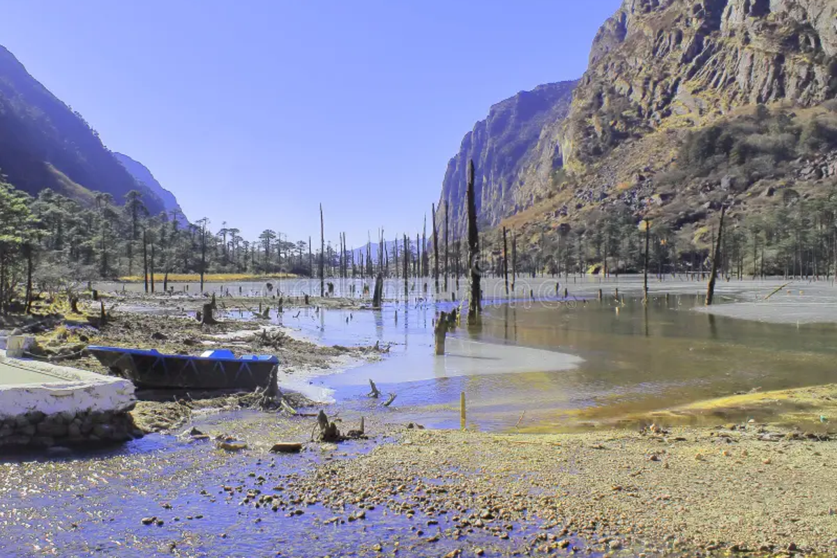The haunting landscape of Madhuri Lake in Arunachal Pradesh, showing dead pine tree trunks standing inside clear water.