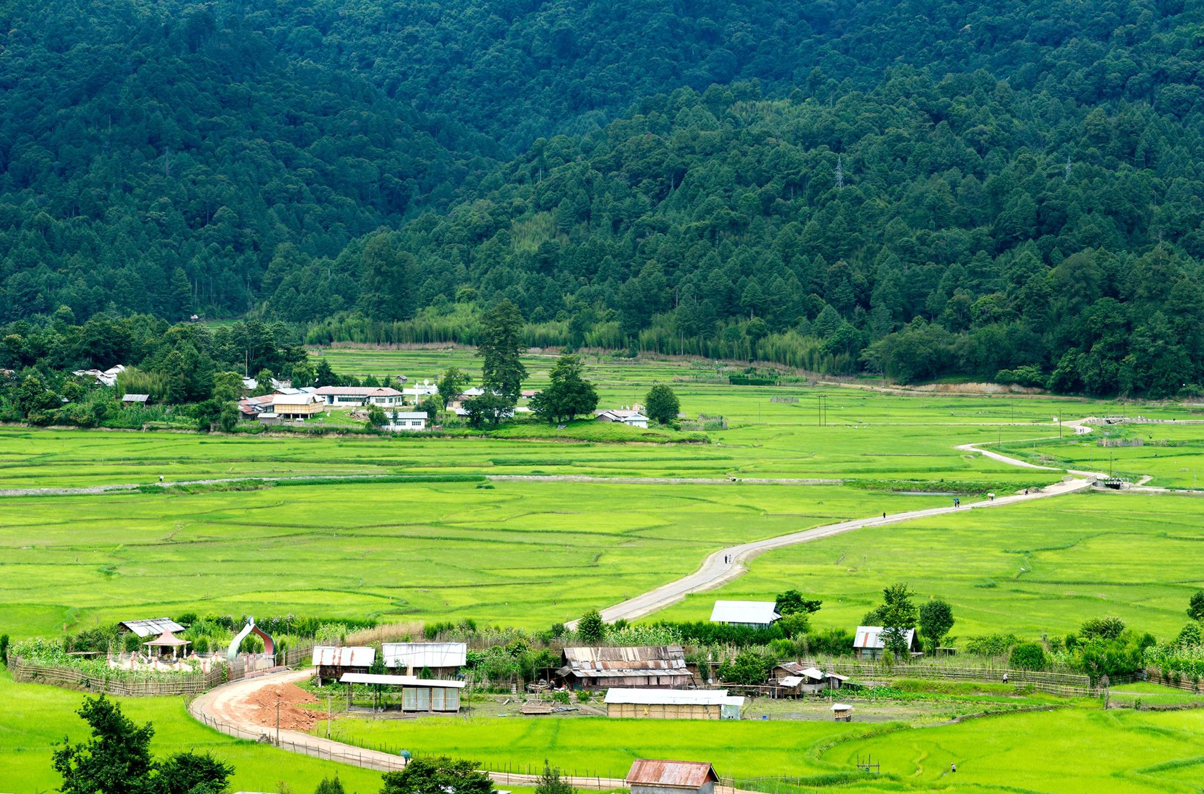 Rice fields and villages across the Ziro valley