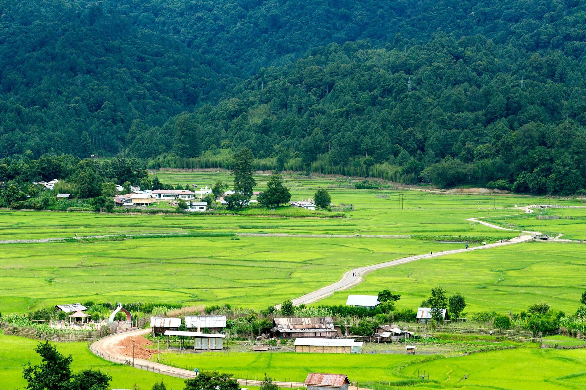 Ziro Valley & Apatani Culture Tour – 6 Days in Arunachal Pradesh