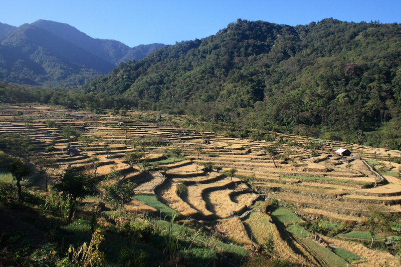 Stone gateway and terraced rice fields in Khonoma green village near Kohima
