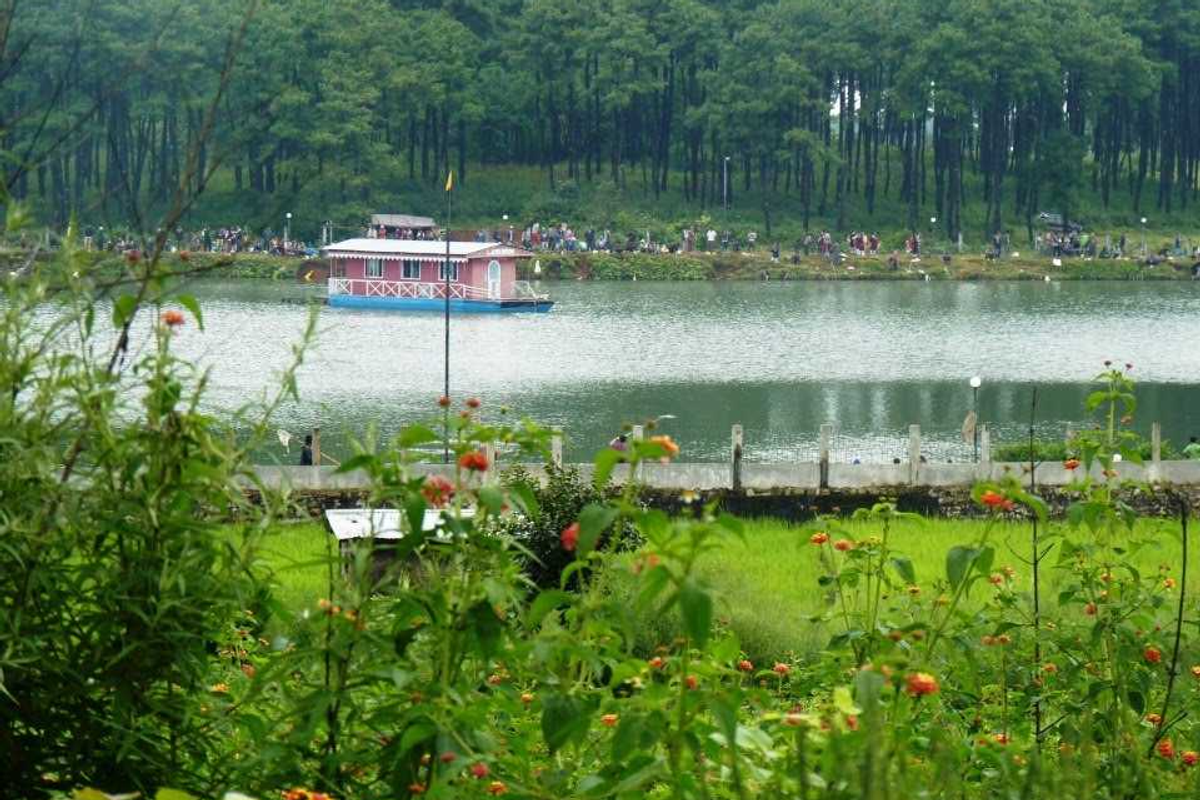 A serene morning view of Thadlaskein Lake in Jowai, Meghalaya, reflecting the surrounding pine trees.