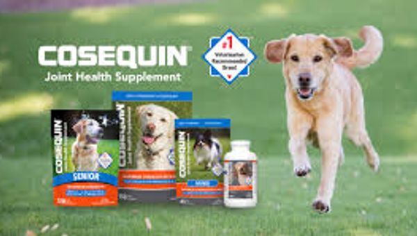 Cosequin Dog Supplements Paying $11.5 Million Settlement Over Misleading Claims