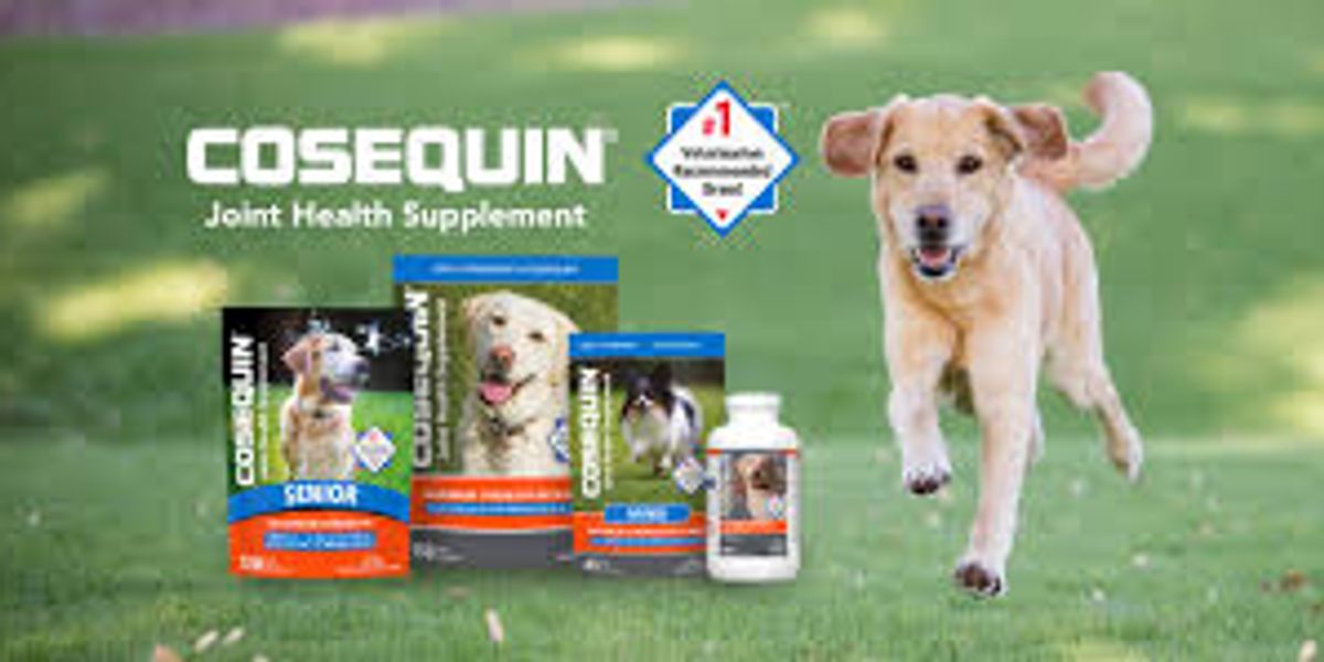 Cosequin Dog Supplements Paying $11.5 Million Settlement Over Misleading Claims