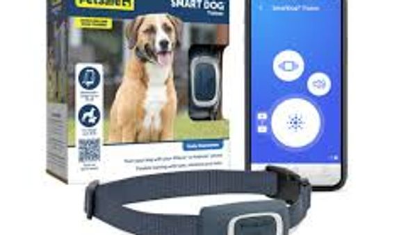 PetSafe E-Collar Settlement: California Pet Owners Can Claim Up to $140 Per Product