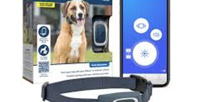 PetSafe E-Collar Settlement: California Pet Owners Can Claim Up to $140 Per Product