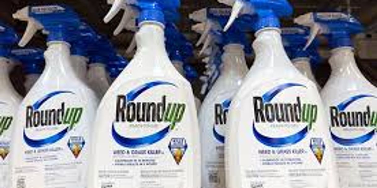 Bayer Proposes $7.25 Billion Roundup Settlement Over Cancer Claims: What You Need to Know