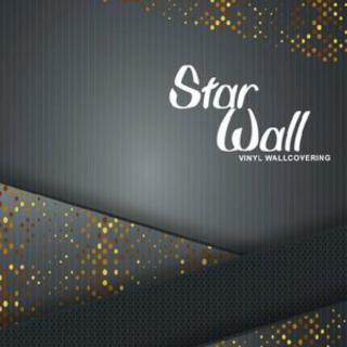 Cover of STAR WALL 2021 wallpaper collection book.