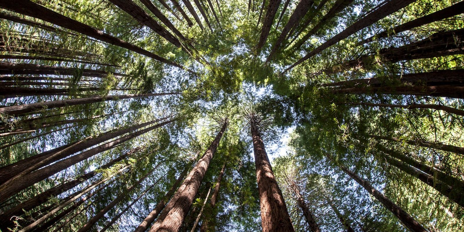 The Intelligence Layer Behind GEO