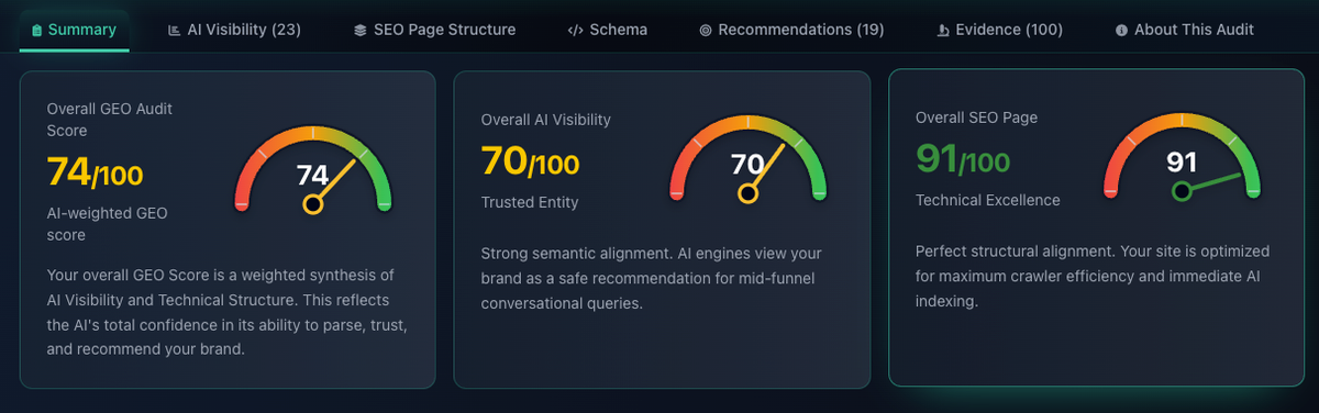 AI Visibility Audit