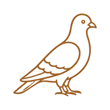 Pigeons et volatiles