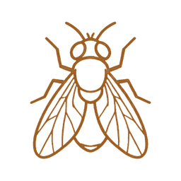Insecte volant