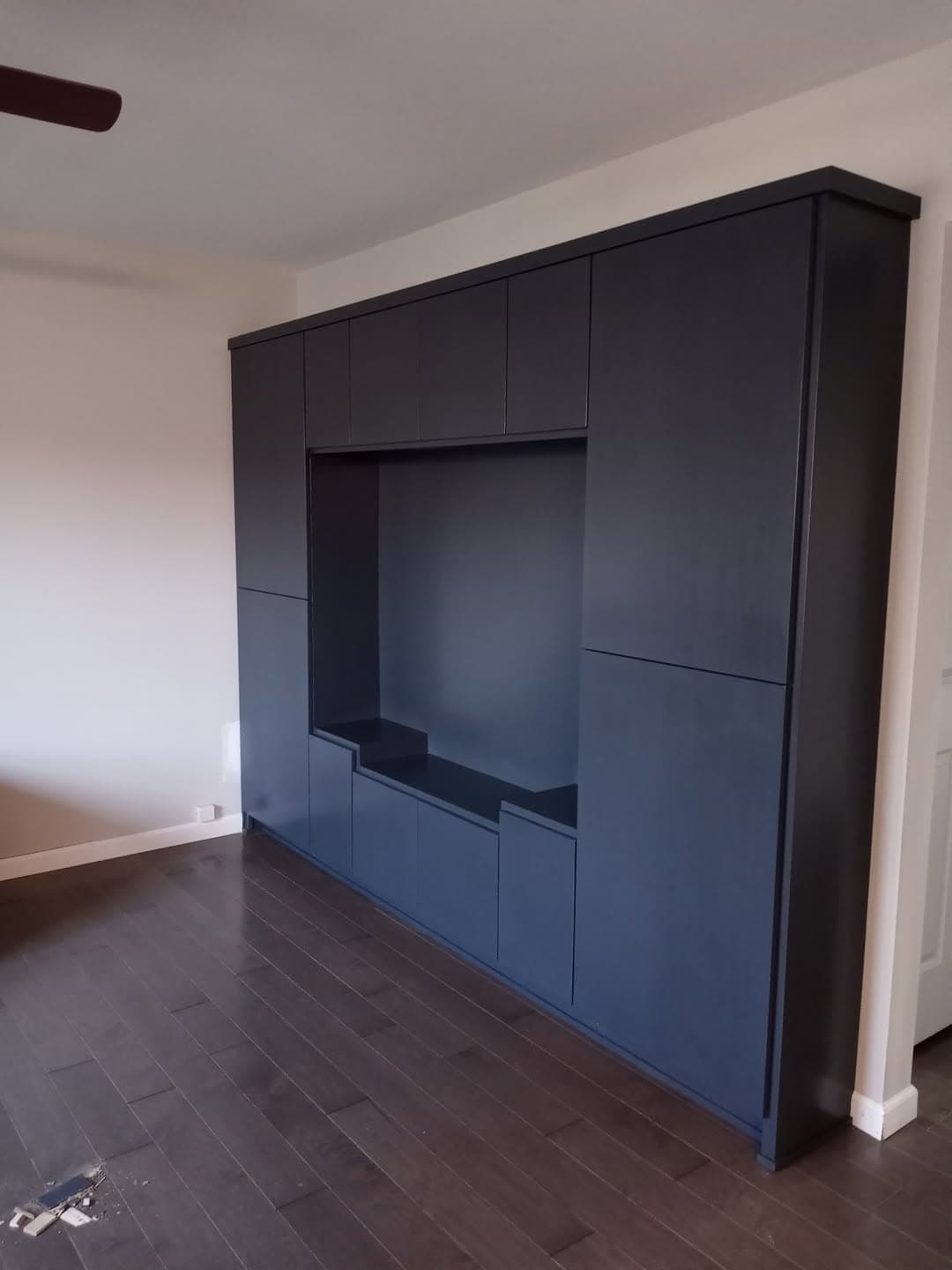 Custom black entertainment wall cabinet